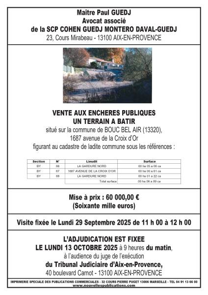 VENTE AUX ENCHERES AIX EN PROVENCE